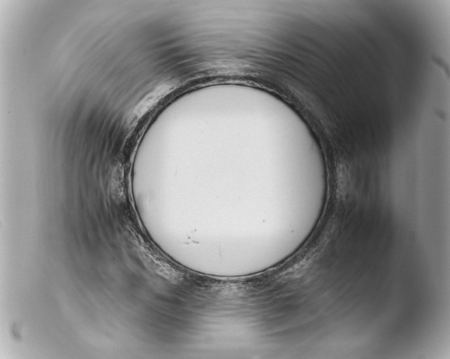 X0000103900970200810031145