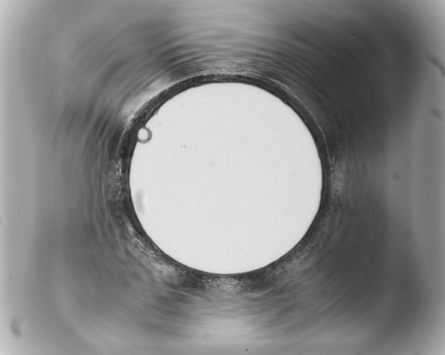 X0000103900971200810031145