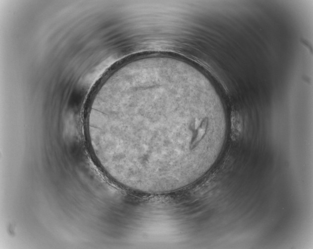 X0000103900972200810031145