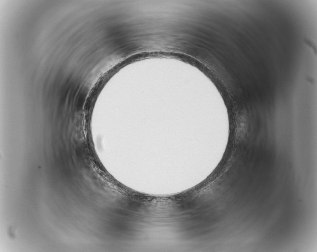 X0000103900974200810031145