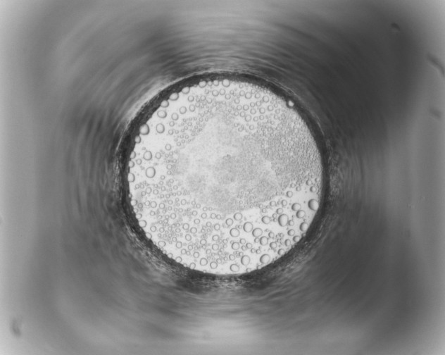 X0000103900975200810031145