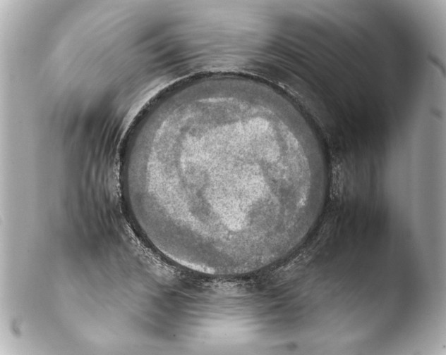 X0000103900976200810031145