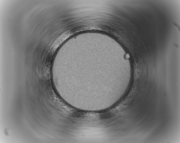 X0000103900977200810031145