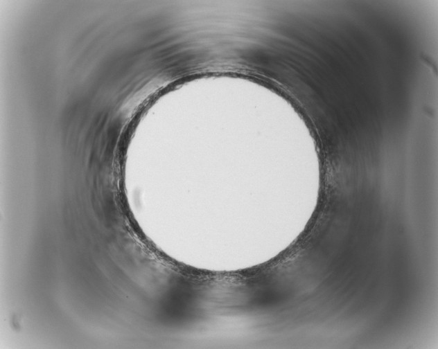 X0000103900979200810031145