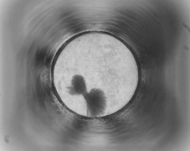 X0000103900980200810031145