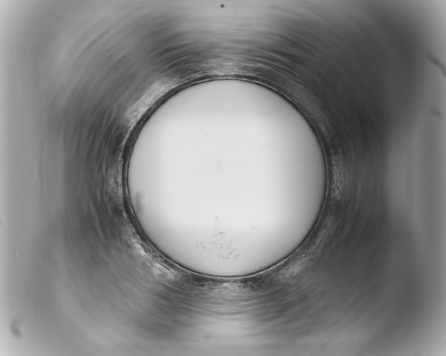 X0000103900986200810031145