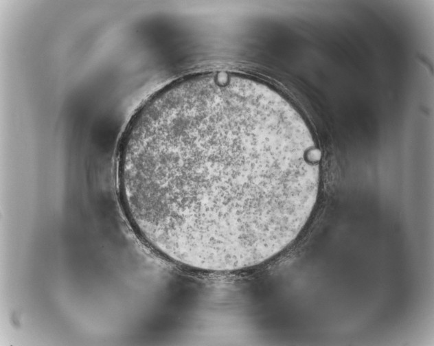 X0000103900987200810031145