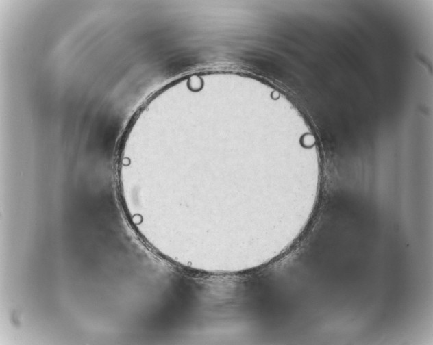 X0000103900989200810031145