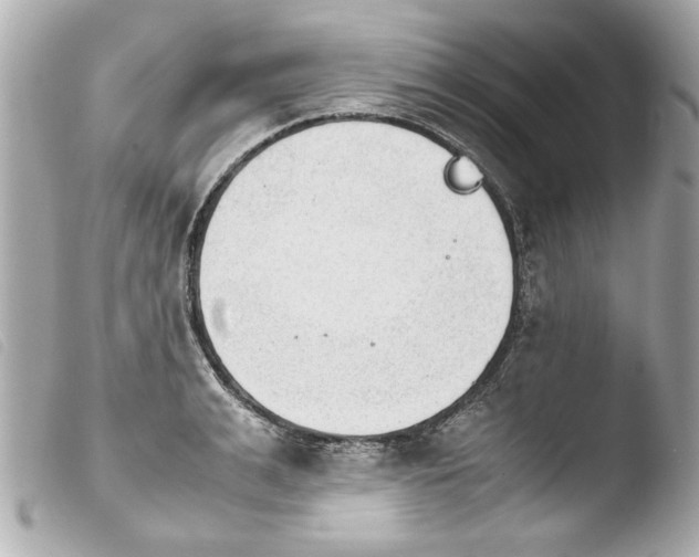 X0000103900991200810031145