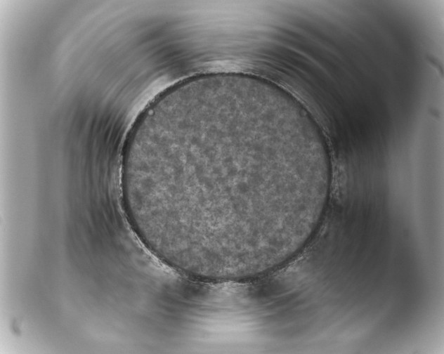 X0000103900992200810031145