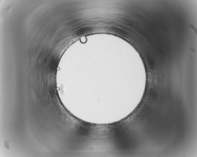 X0000103900993200810031144