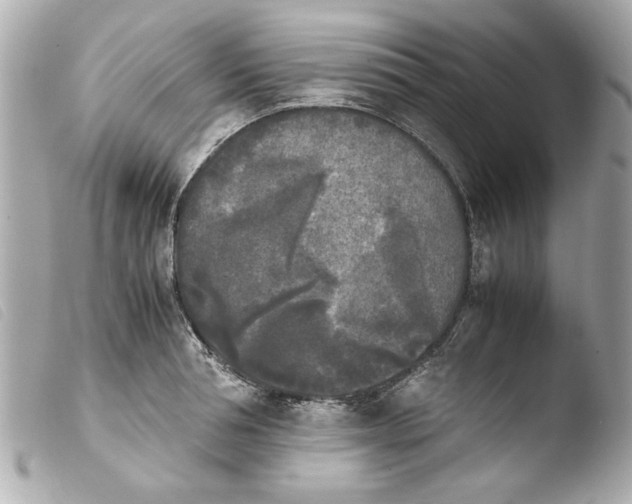 X0000103900994200810031144