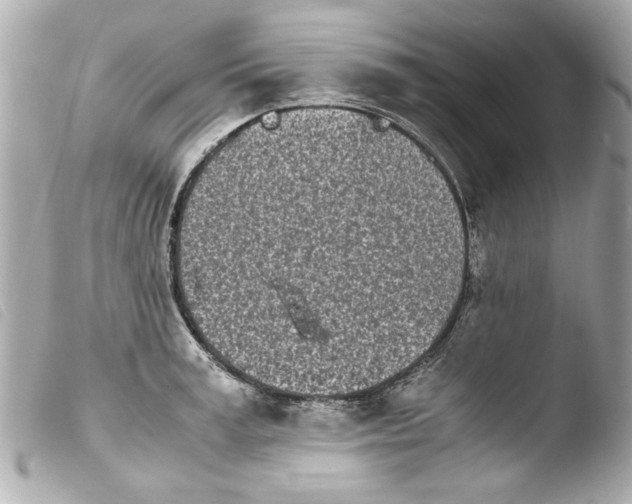 X0000103900995200810031144