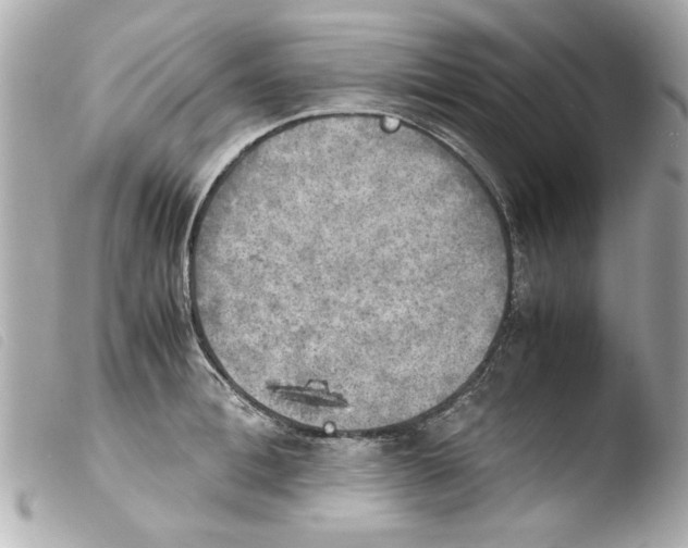 X0000103900996200810031144