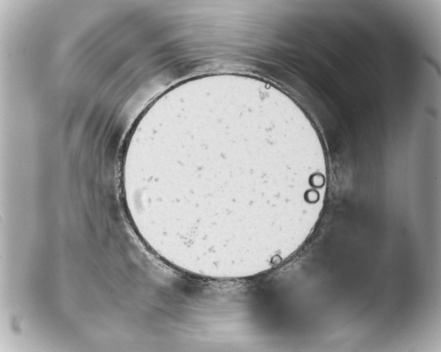 X0000103900997200810031144