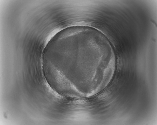 X0000103900998200810031144