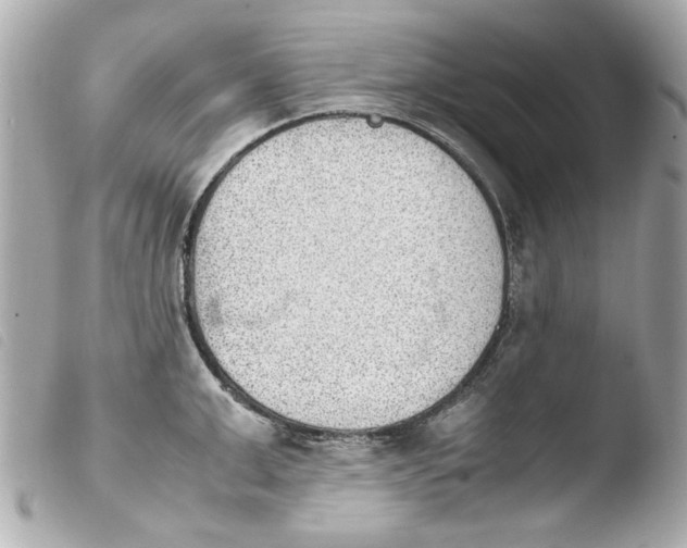 X0000103900999200810031144