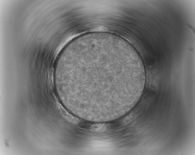 X0000103901000200810031144