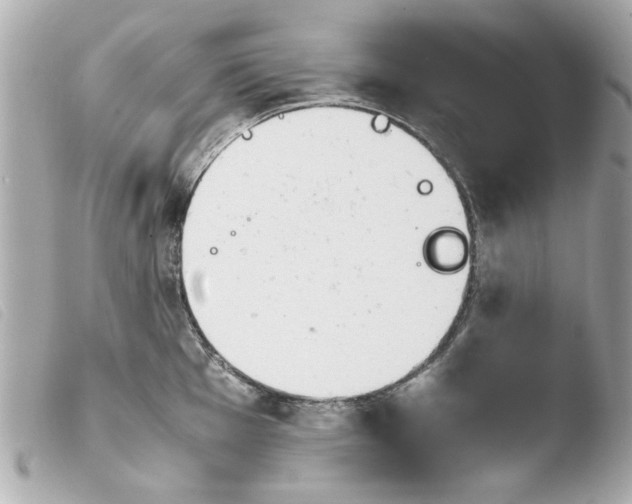 X0000103901001200810031144