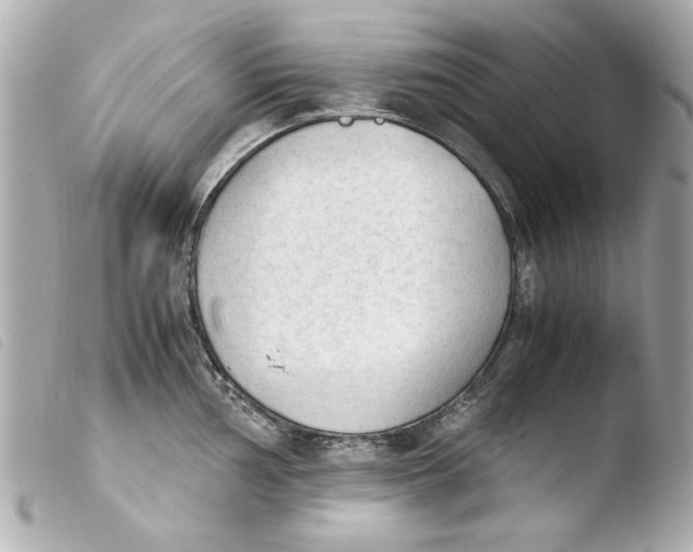 X0000103901002200810031144