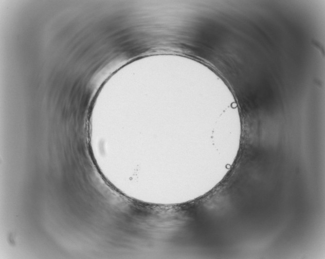 X0000103901003200810031144