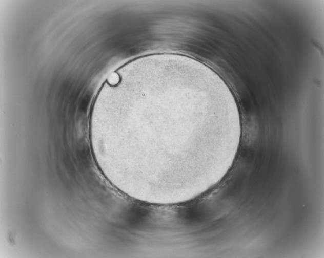 X0000103901004200810031144