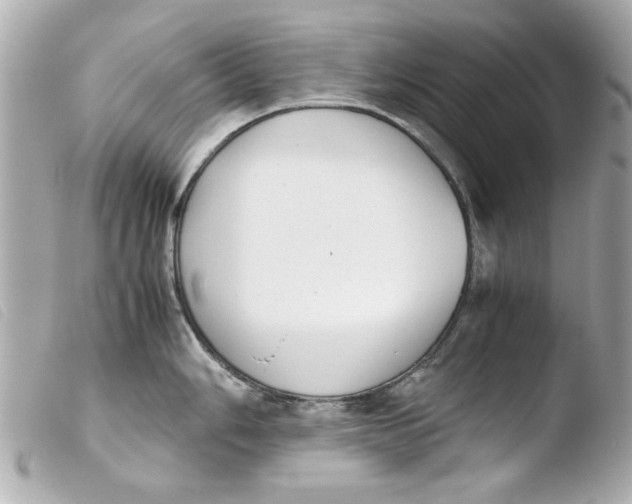 X0000103901006200810031144