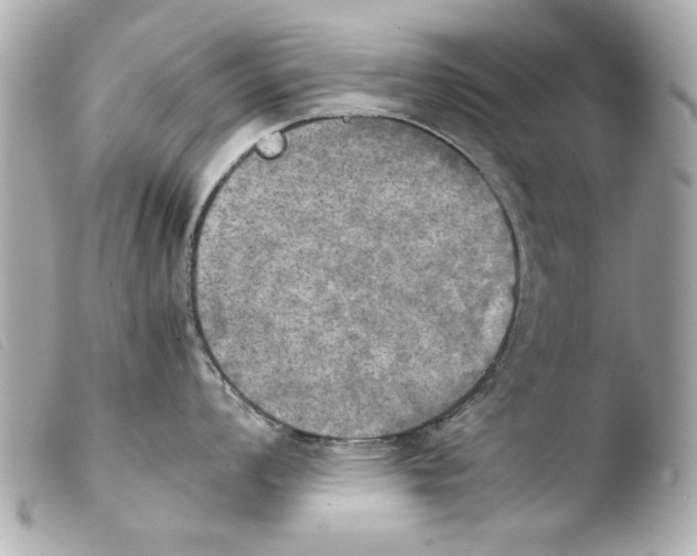 X0000103901008200810031144