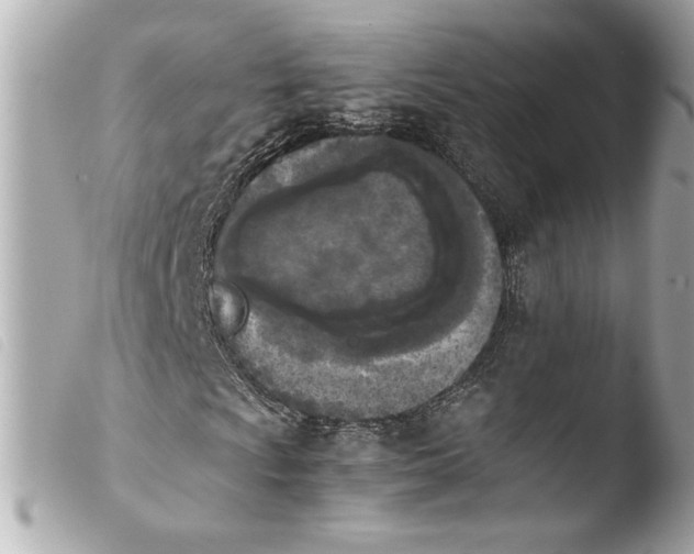 X0000103901009200810031143