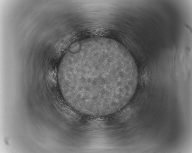 X0000103901010200810031143