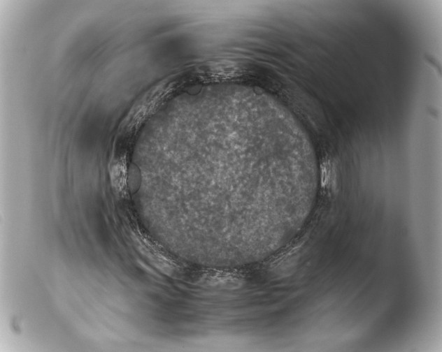 X0000103901011200810031143