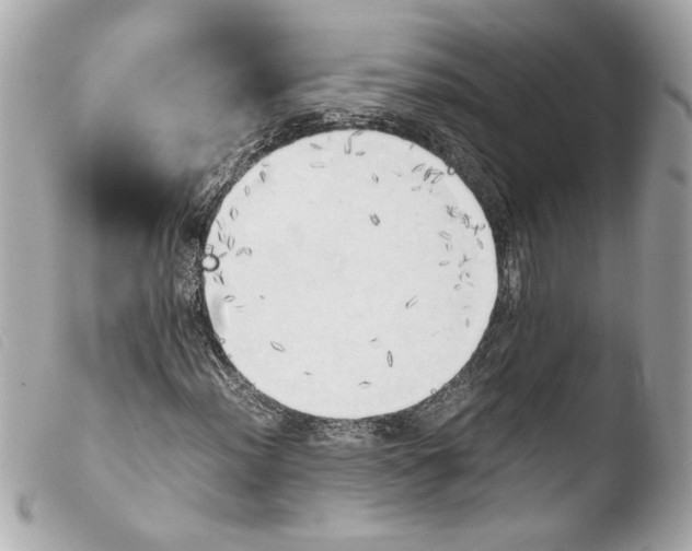 X0000103901012200810031143