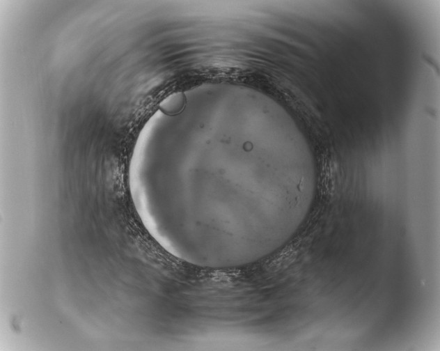 X0000103901013200810031144