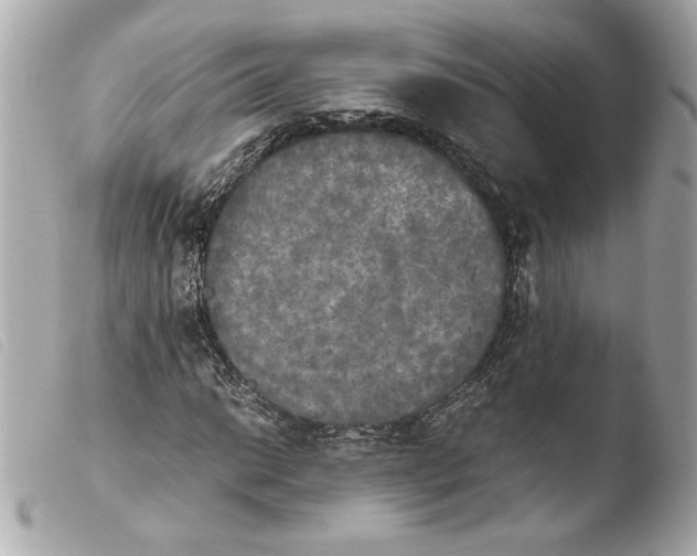 X0000103901014200810031144