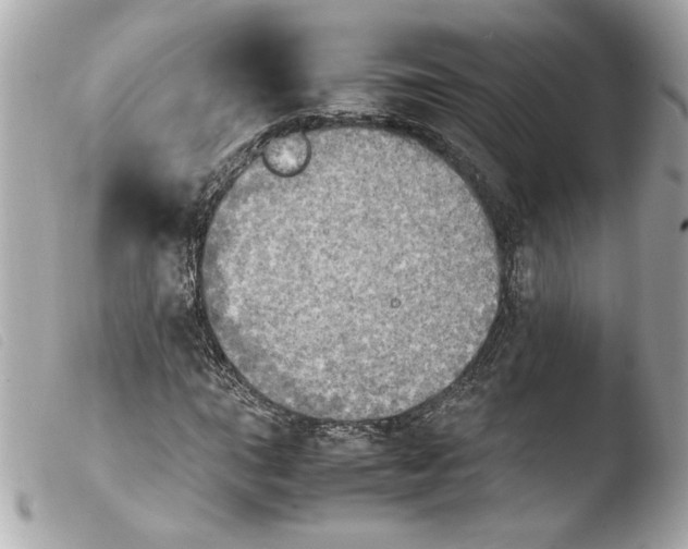 X0000103901015200810031144