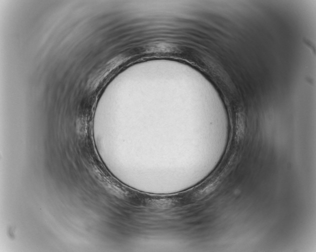 X0000103901017200810031144