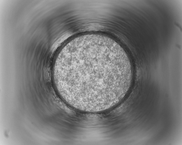 X0000103901018200810031144