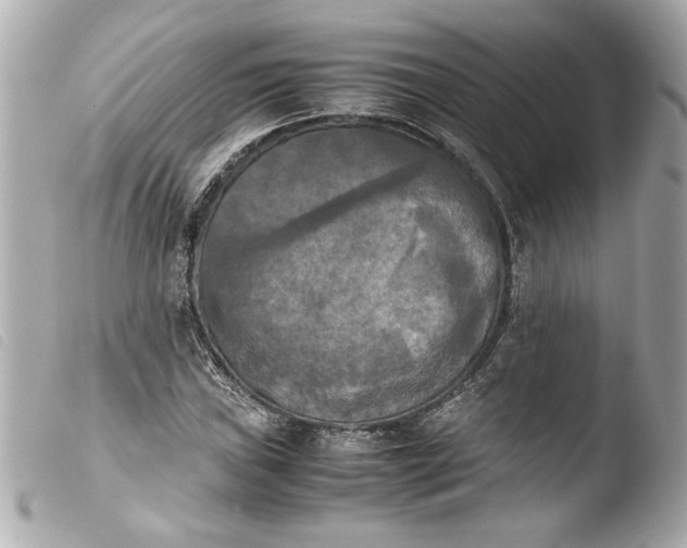 X0000103901019200810031144