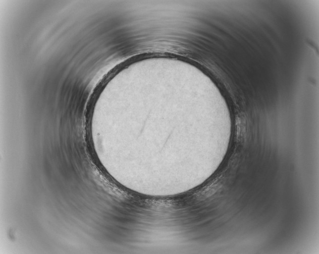 X0000103901020200810031144