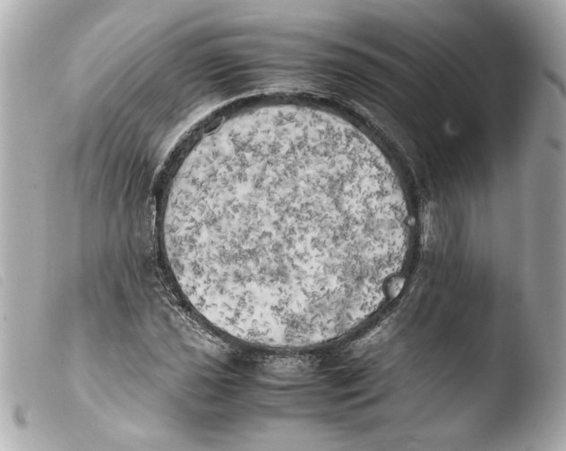 X0000103901021200810031144