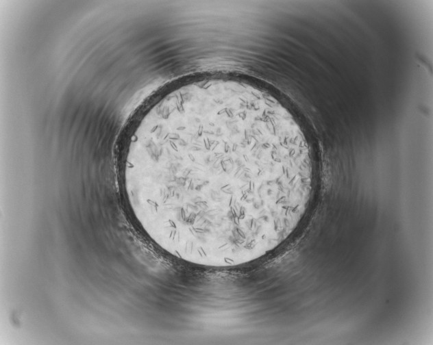 X0000103901022200810031144