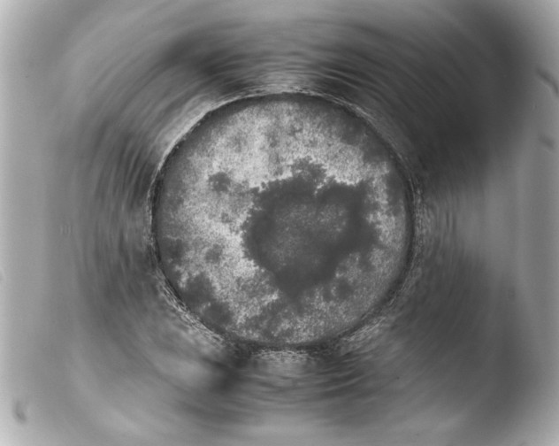 X0000103901023200810031144