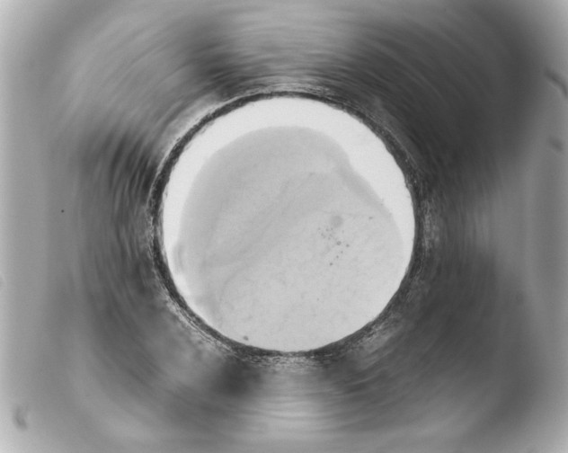 X0000103901024200810031144