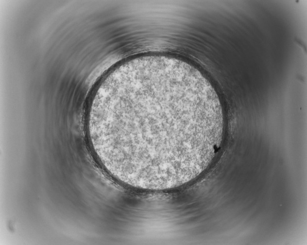 X0000103901026200810031144