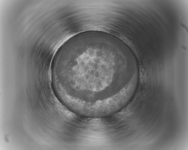 X0000103901028200810031144