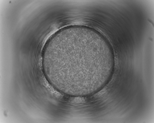 X0000103901029200810031144