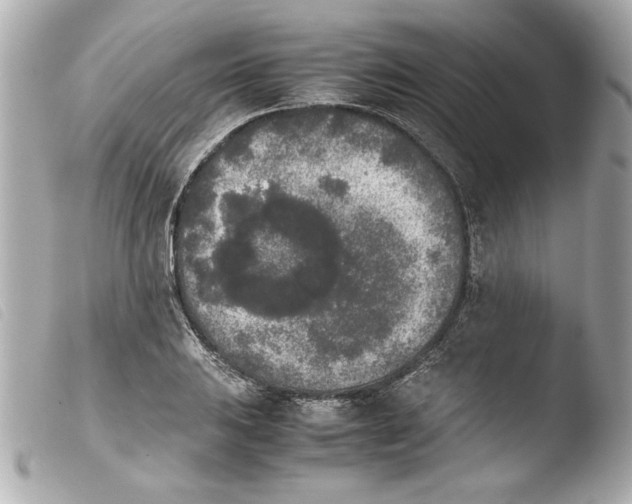 X0000103901031200810031144