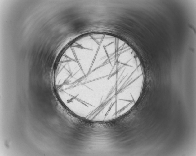 X0000103901032200810031144