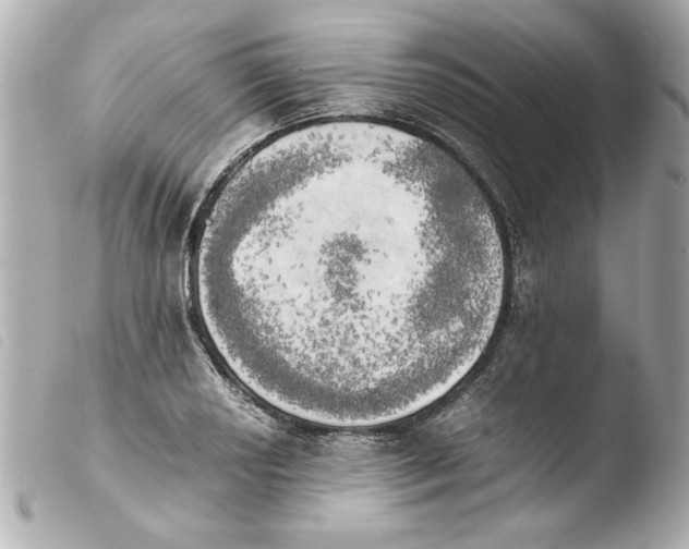 X0000103901034200810031144