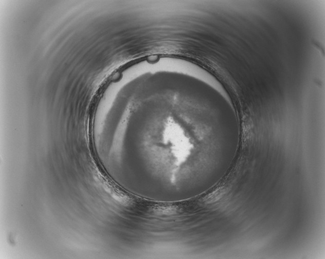 X0000103901035200810031144